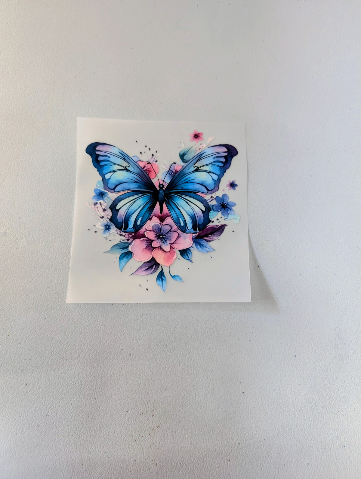 Butterfly Grab Bag - $50.00