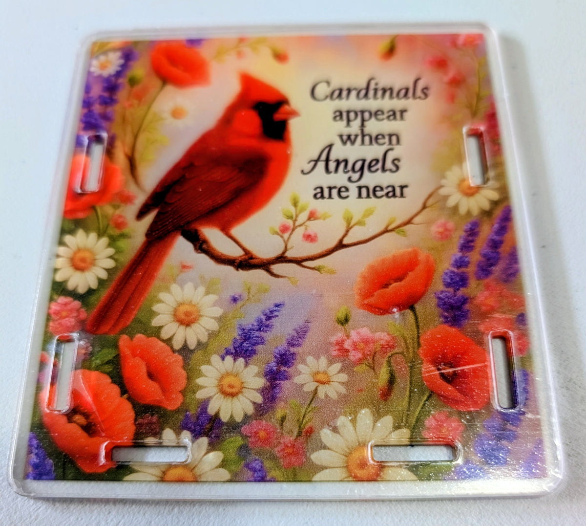 Cardinals Appear Pen Box