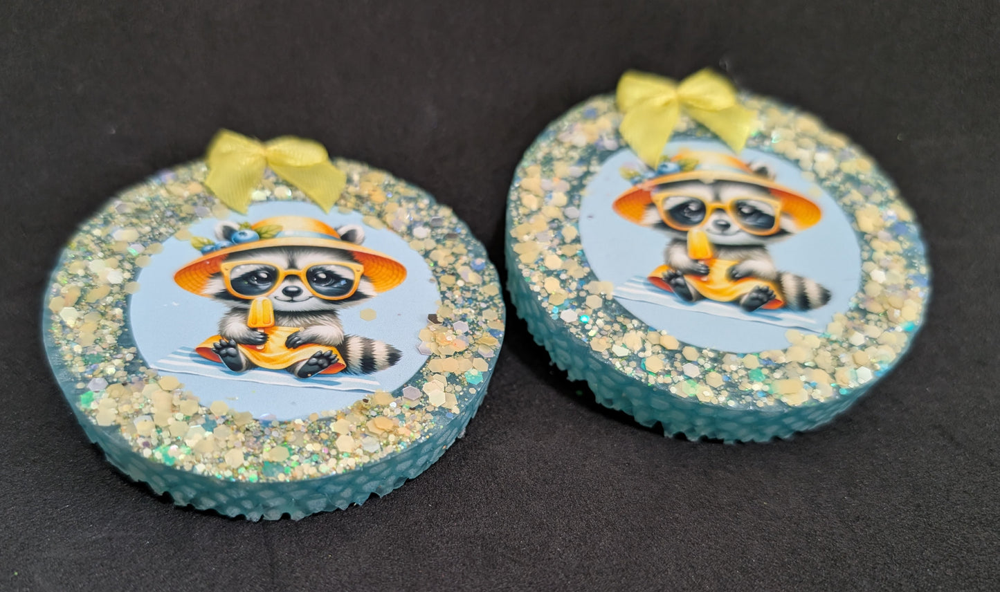 Summer Racoon Vent Clips -Decorated $10.00