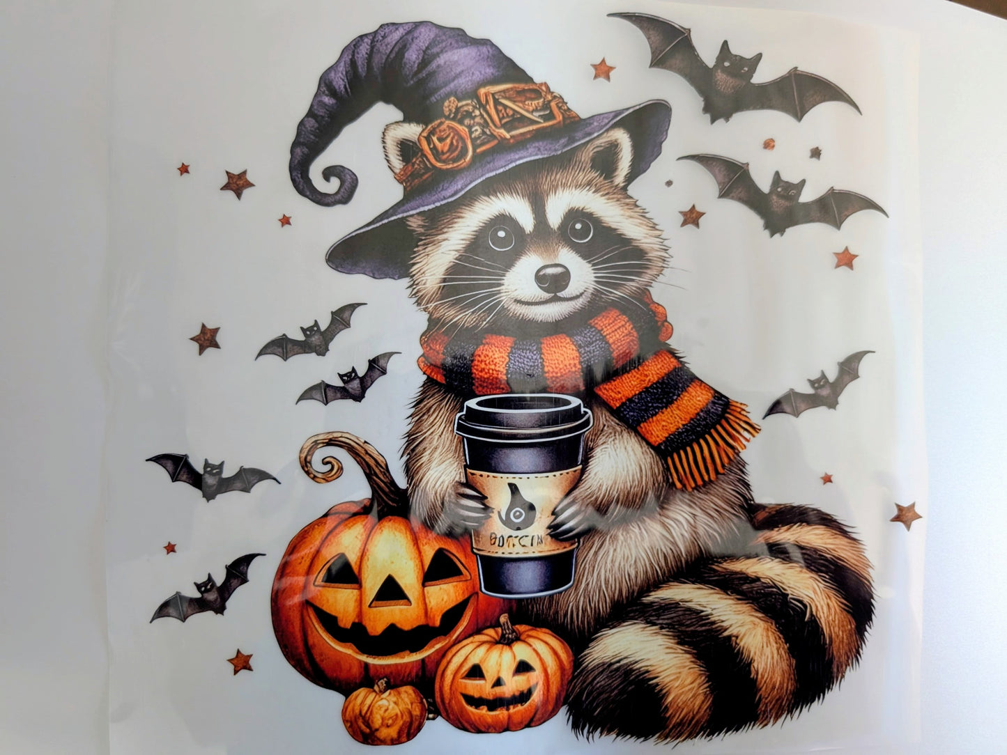 Shirt Design - Racoon Witch