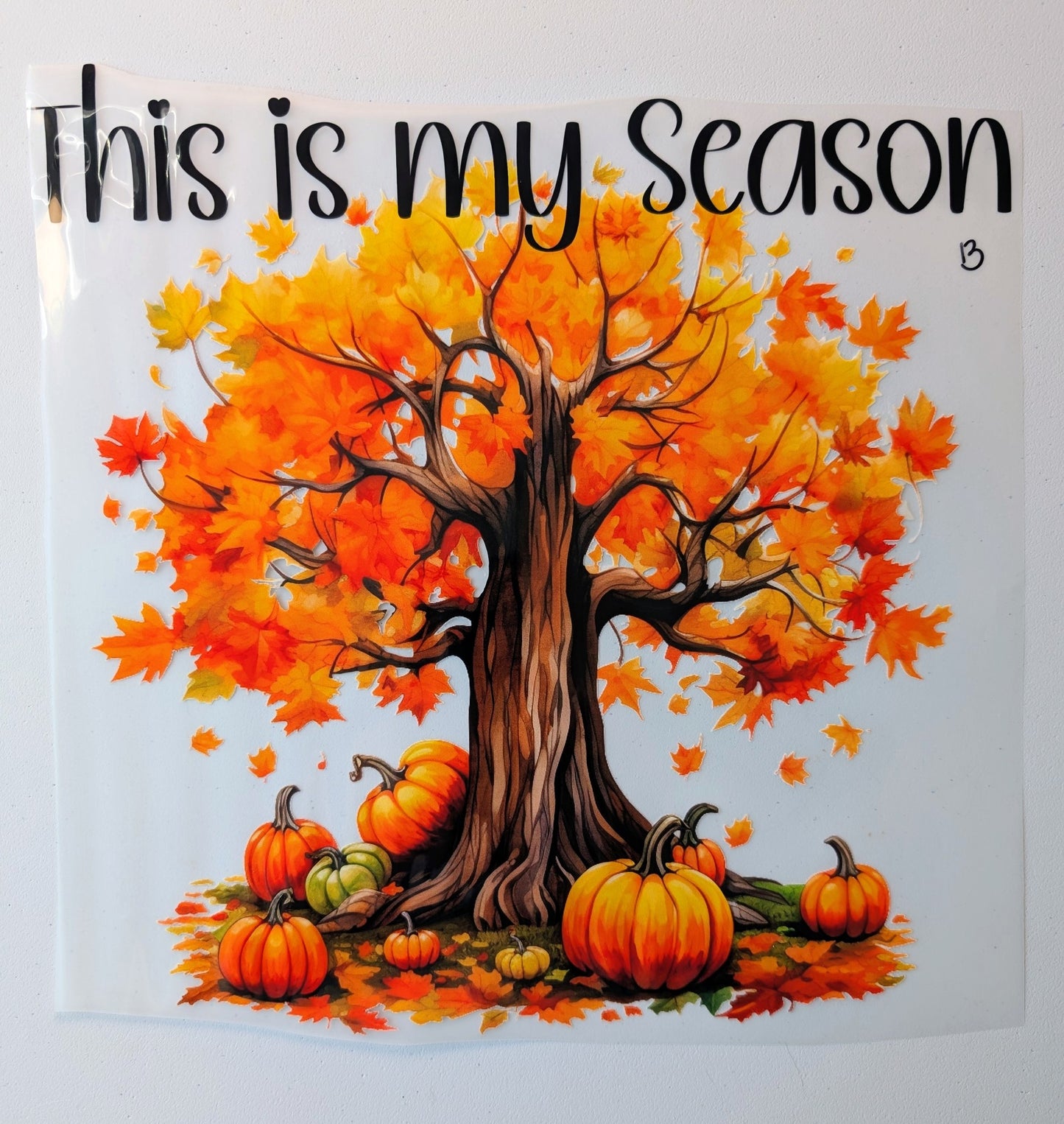 Shirt Design - This Is My Season