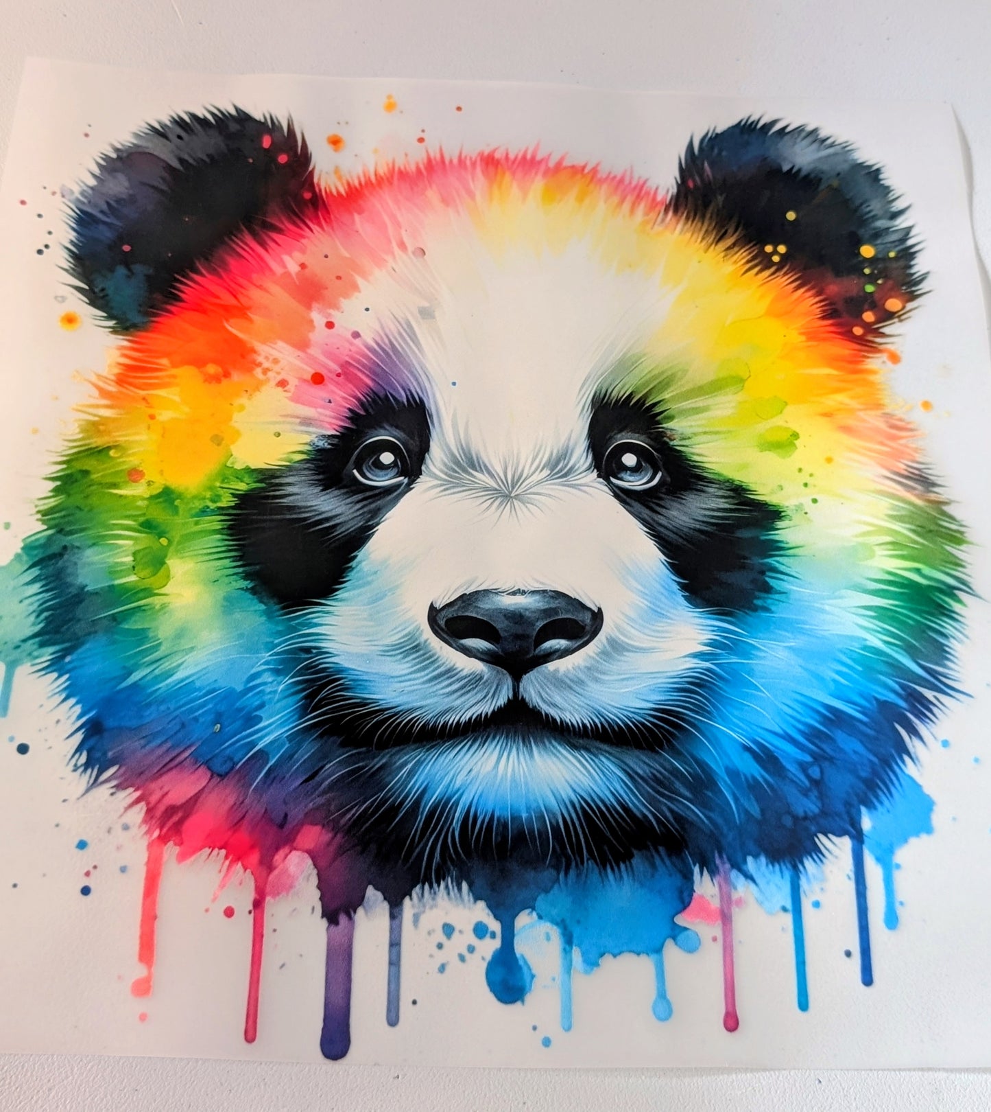 Panda Grab Bag - $50.00