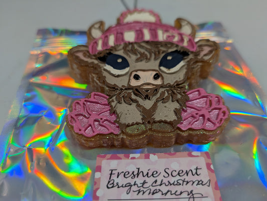 Discounted:  Highland Cow in a Tutu and Beanie