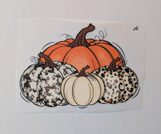 Shirt Design - Multicolored Pumpkins