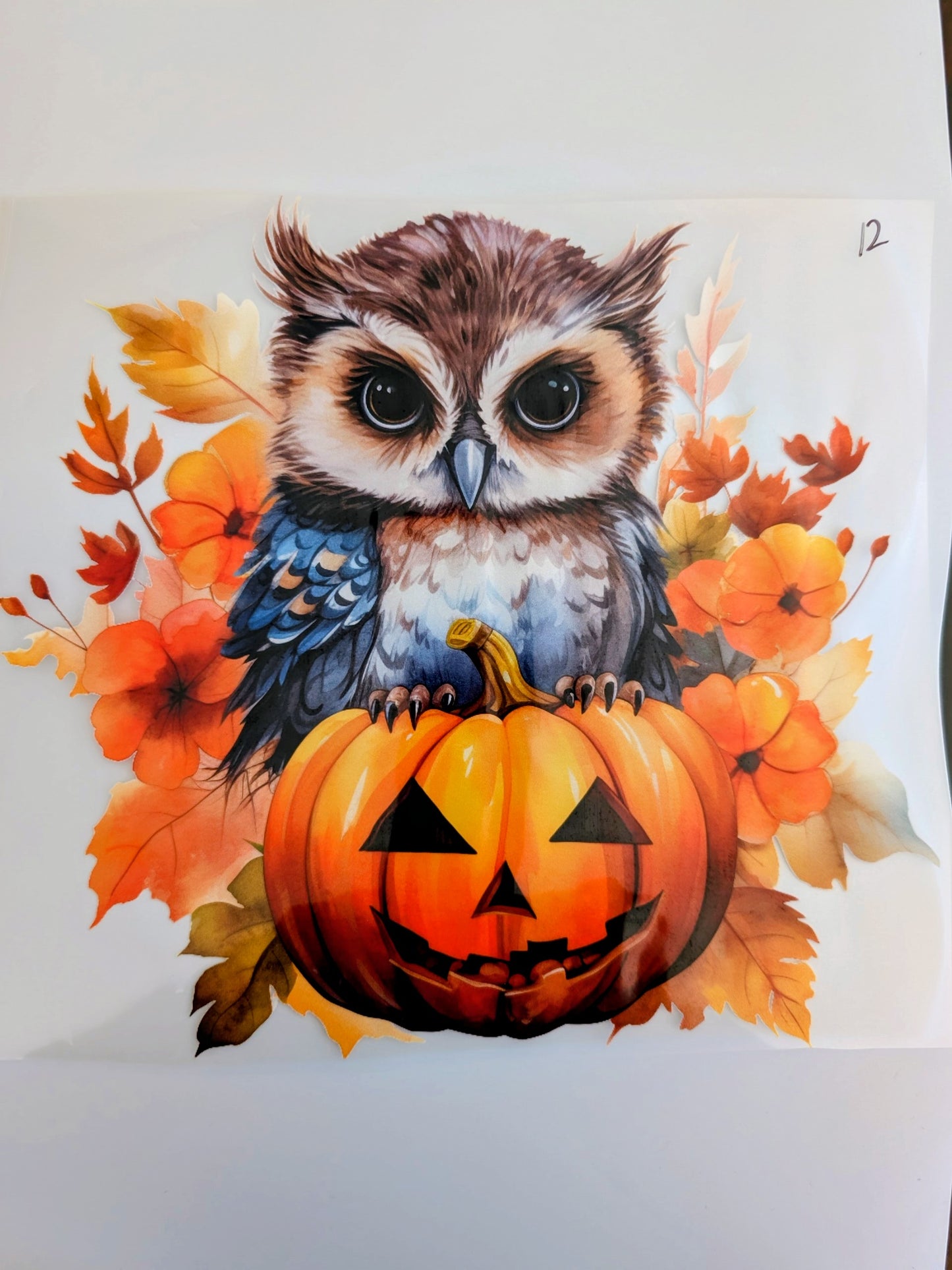 Shirt Design - Owl on Pumpkin