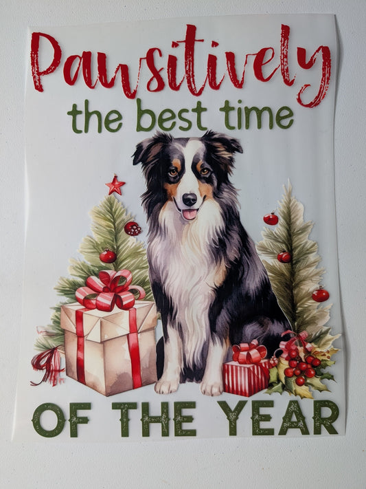 Shirt Design - Pawsitively the best